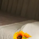 La Bella Giardini * مودينا