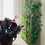 La Bella Giardini شقة