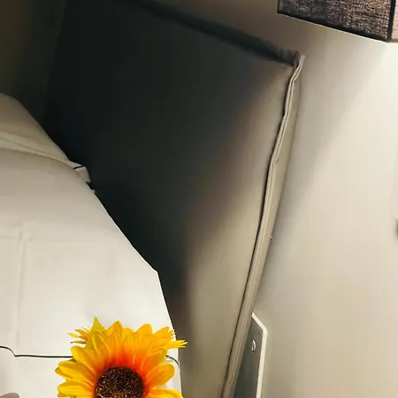 La Bella Giardini * Modena